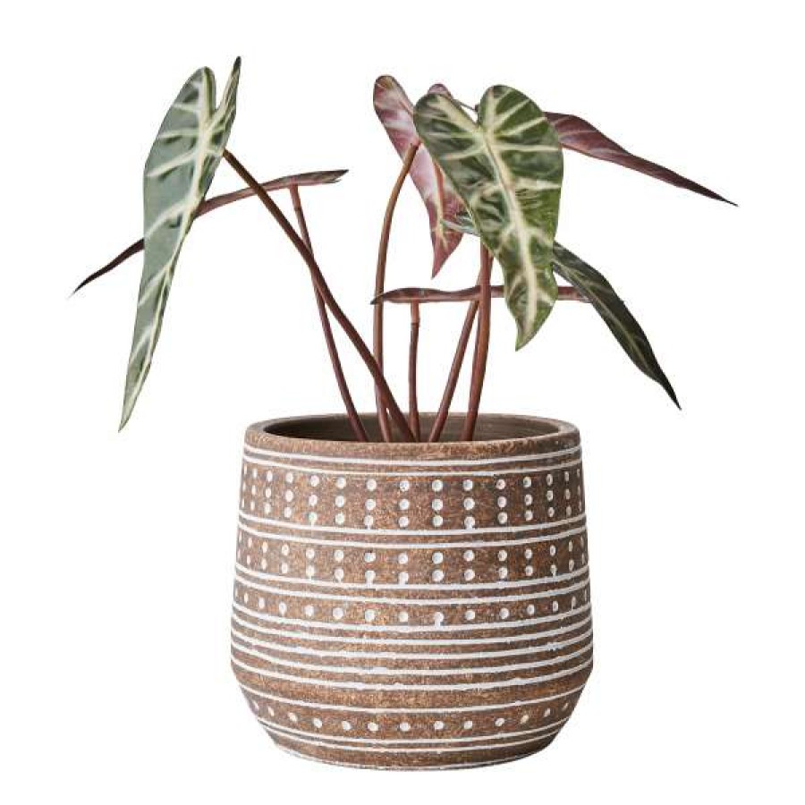 Homewares * | Affari Camille Flower Pot Beige