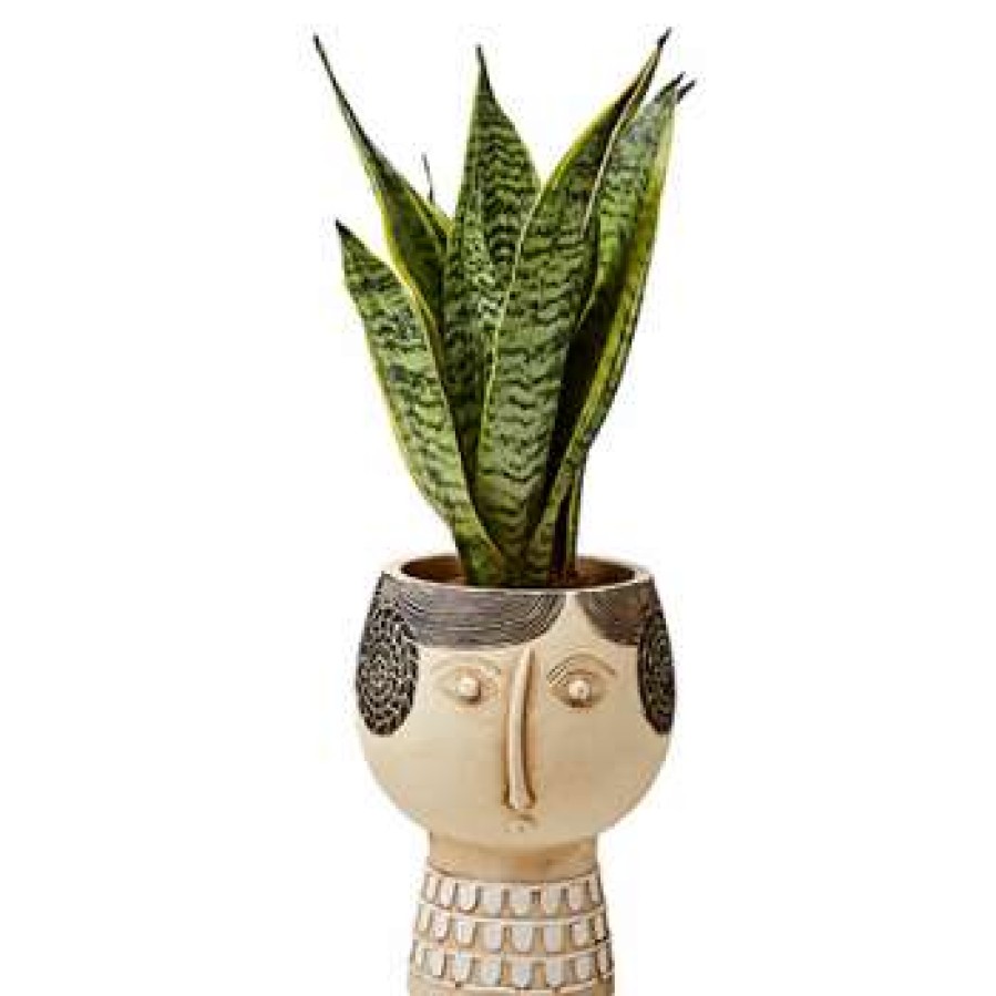 Homewares * | Affari Medium Camille Face Flower Pot Beige