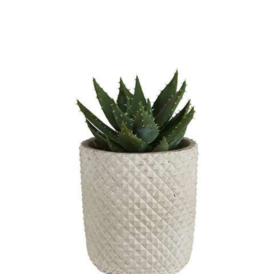 Homewares * | Affari Otto Planters 15Cm