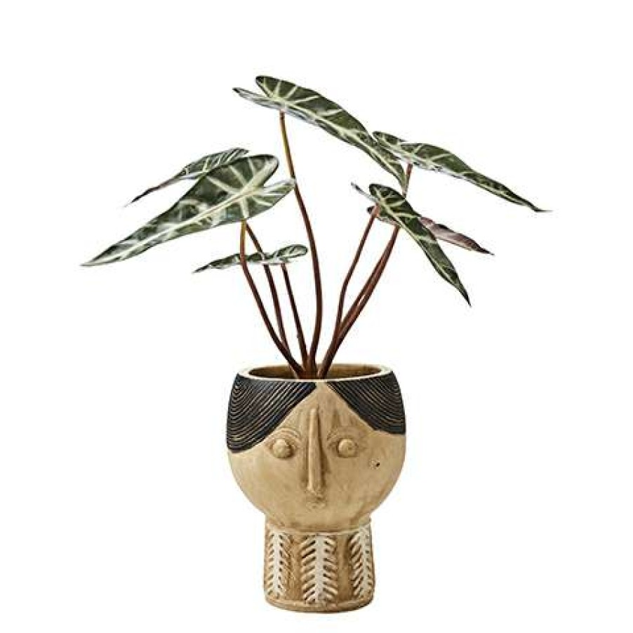 Homewares * | Affari Small Camille Face Flower Pot Beige