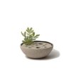 Homewares * | Lindform Straw Ikebana Vase Tea Light Holder In Medium Sand Small