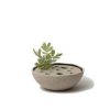 Homewares * | Lindform Straw Ikebana Vase Tea Light Holder In Medium Sand Large